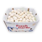 Ajo Entero 20LB / Garlic Whole 20LB