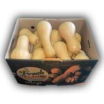 Butternut Squash Large 30LB