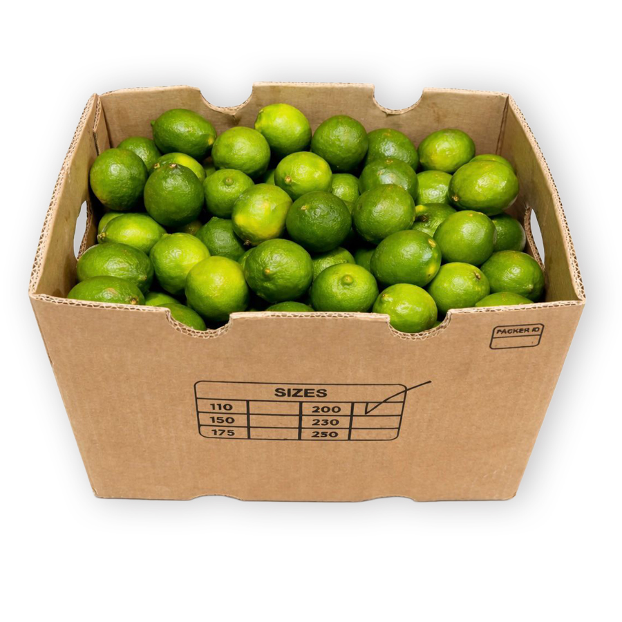 Limon 200 36LB / Limes 200ct 36LB