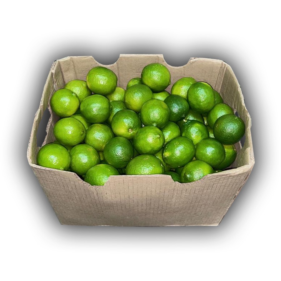 Limon 150ct 36LB / Limes 150ct 36LB