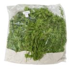 Oregano Fresco 1LB / Oregano Fresh 1LB