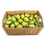 Pera Verde 100ct / Pear D’Anjou 100ct