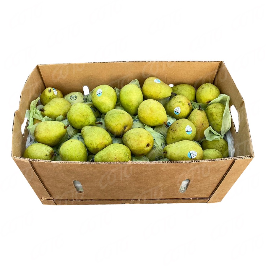 Pera Verde 100ct / Pear D’Anjou 100ct