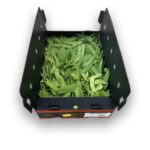 Snow Peas 10LB