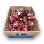 Boniato Cubano 50LB / Potato Sweet (Boniato) 50LB