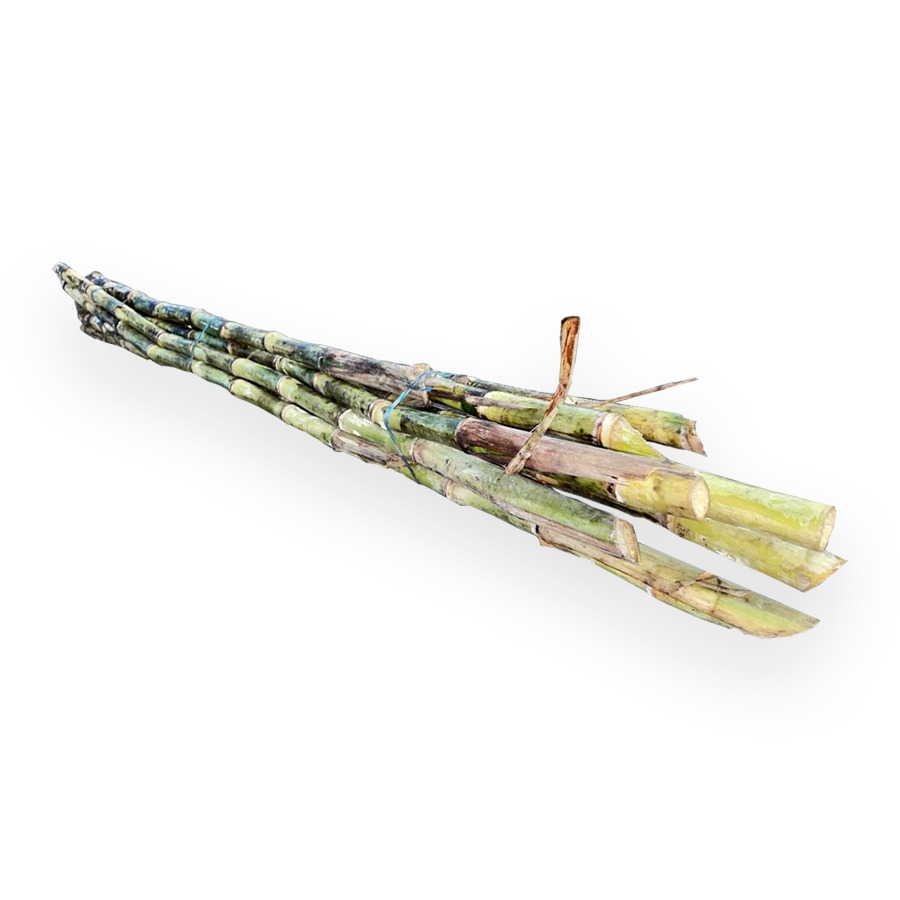Cana de azucar 25LB / Sugar Cane 25LB
