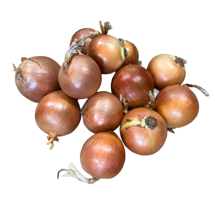 Cebolla Amarilla 10LB/ Onion Yellow Jumbo 10LB
