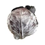 Col Roja unidad / Cabbage Red ea