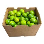 Limon 110ct 36LB / Limes 110ct 36LB
