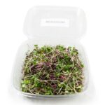Micro Mix 8oz