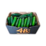 Pepino Caja 25LB / Cucumber Case 25LB