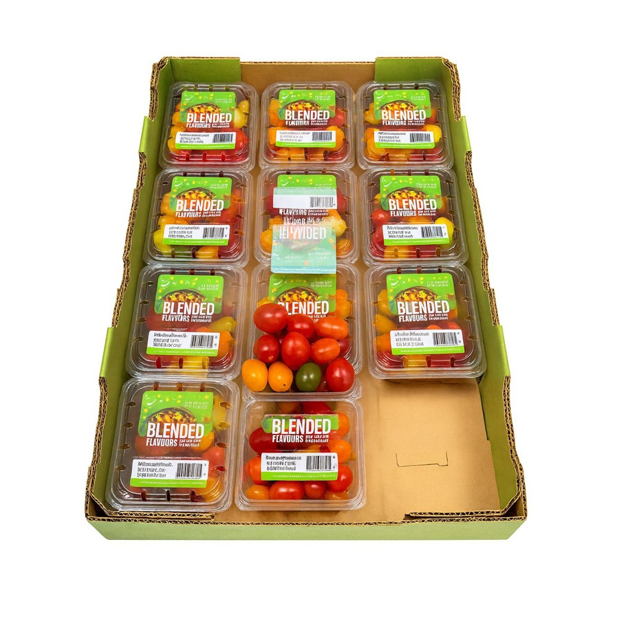 Tomate Baby Heirloom 12×1/Baby Heirloom Tomato 12×1