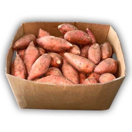 Boniato Americano FANCY 40LB / Potato Sweet Yam Fancy 40LB