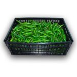 Aji Serrano 35LB / Pepper Serrano 35LB