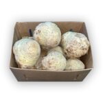 Apio Raiz / Celery Root 15LB