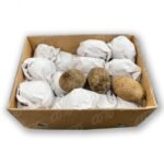 Name Blanco 30LB / White Yam 30LB