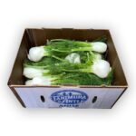 Fennel Caja 24ct