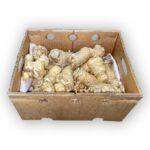 Apio Dominicano 15LB / Celery Root 15LB