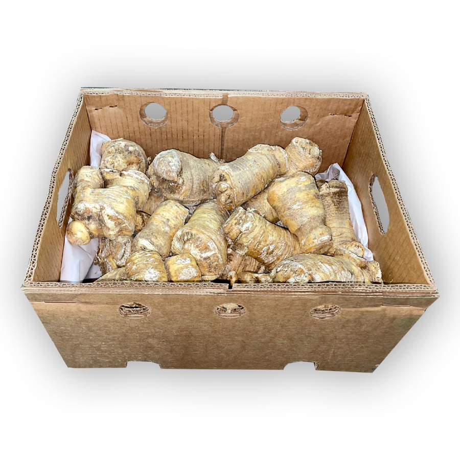 Apio Dominicano 15LB / Celery Root 15LB