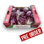 Radicchio 9ct