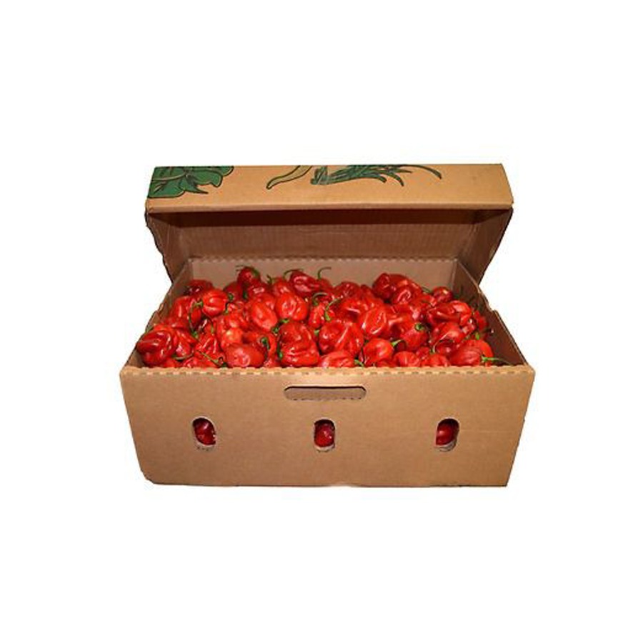 Habanero Rojo 8LB