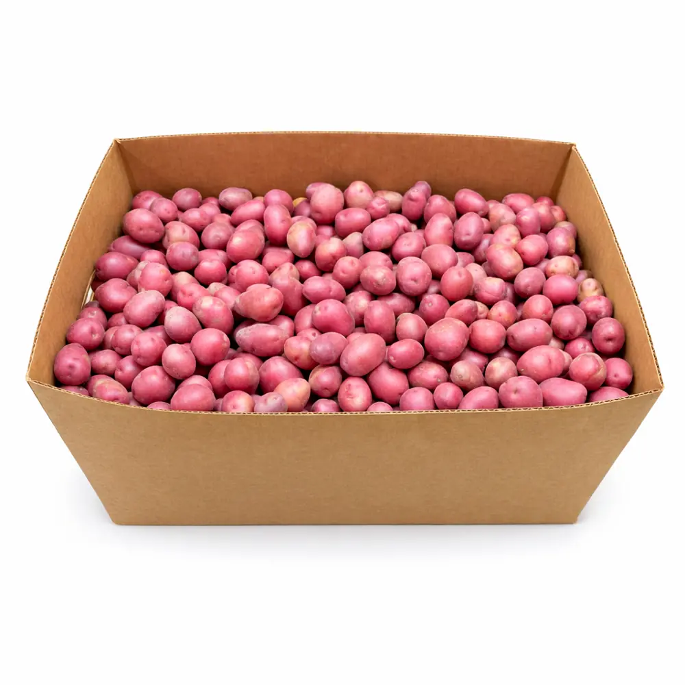 Papa Roja Pequena 50LB / Potato Red Creamer 50LB