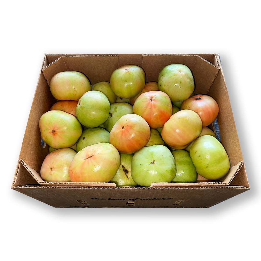 Tomate Verde 25LB / Tomato Green 25LB