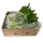 Culantro Caja 10LB
