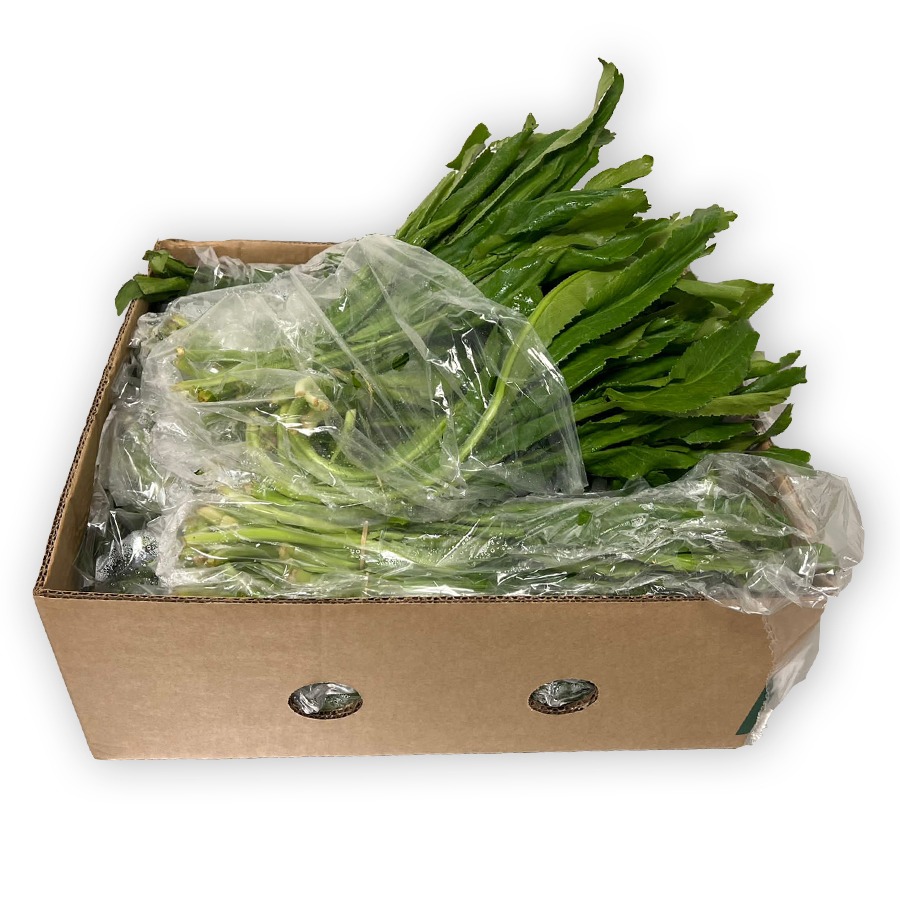 Culantro Caja 10LB