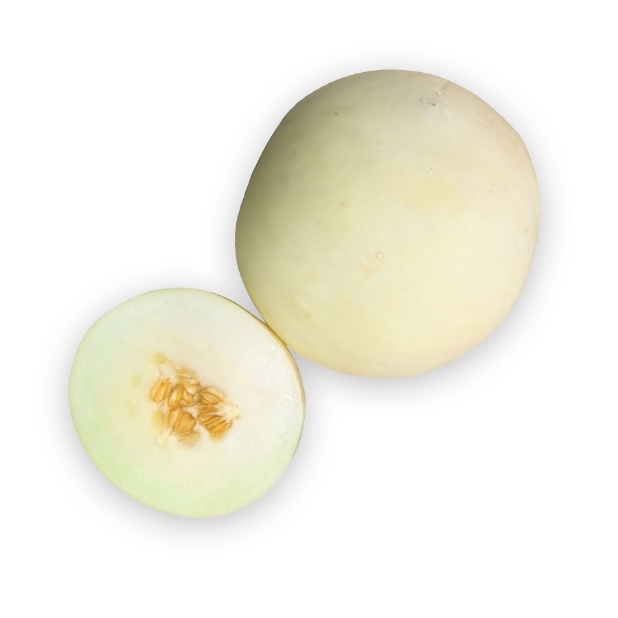 Melon Honeydew Unidad/Unit