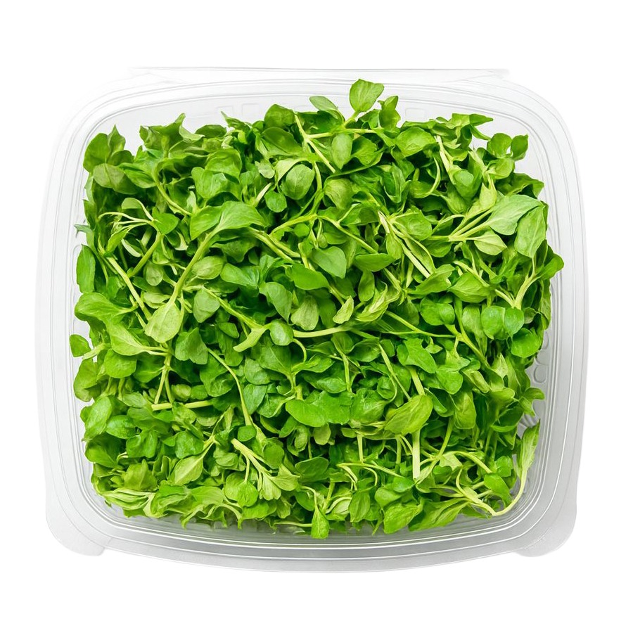 Micro Mint 8oz