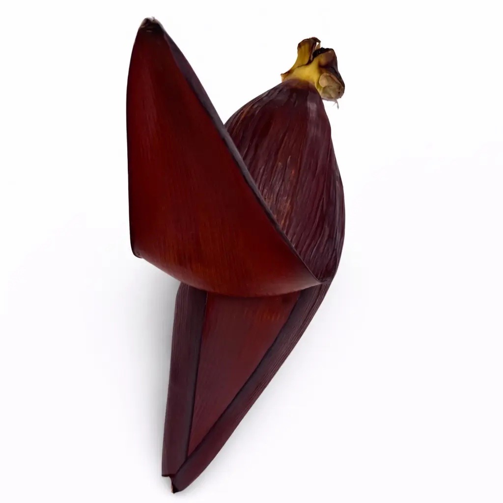 Flor de Banana (Unidad) / Banana Flower (Unit)